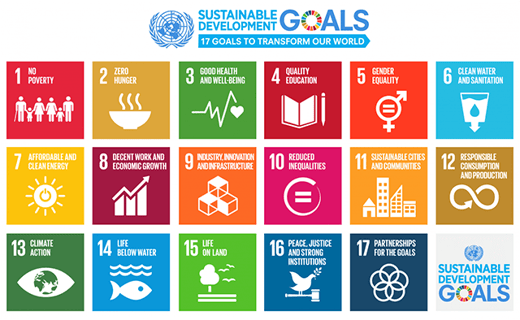 UN SDGs
